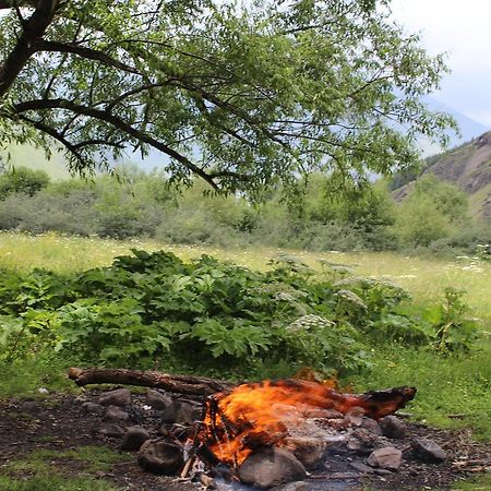 Nino & Zurabi Guest House Kazbegi Εξωτερικό φωτογραφία