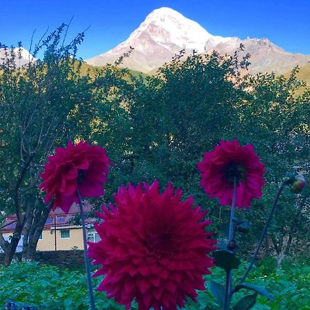 Nino & Zurabi Guest House Kazbegi Εξωτερικό φωτογραφία