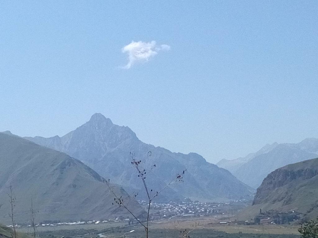Nino & Zurabi Guest House Kazbegi Εξωτερικό φωτογραφία
